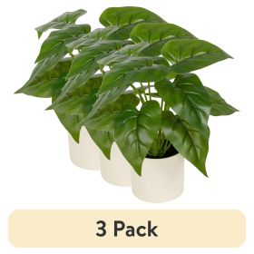 (3 pack) 10-inch x 4-inch Artificial Philodendron Leaf Plant in White Pot, Green, for Indoor Use, by Mainstays